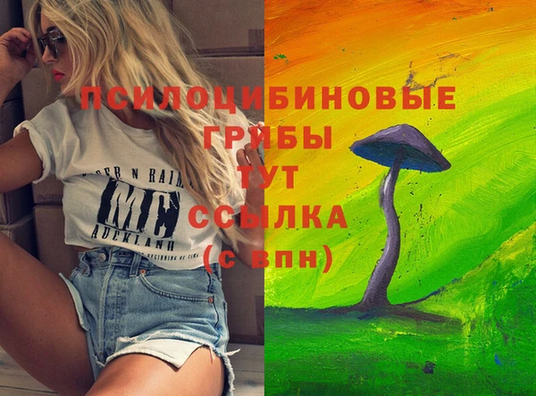 синтетический гашиш Абинск